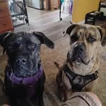 Walter Carpenter - @wcarpenter315 - Instagram