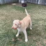 Walter Carruthers - @walterrufus - Instagram