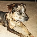 Walter Jameson Cartwright - @wal_dingo1215 - Instagram