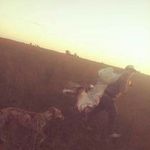 Walter Casey - @walter.casey.986 - Instagram