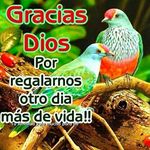 Walter Catalán - @walter.catalan.169 - Instagram