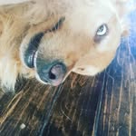 james cates - @walter_cates_ - Instagram