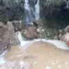 Walter Celis - @walter.celis8 - TikTok