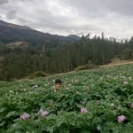 Walter Morales Cerna - @waltermoralescerna - Instagram