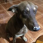 Walter Chabla - @walterchabla - Instagram