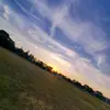 WALTER - @walter_cheese123 - TikTok