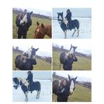 Chiara Walter - @chiarawalter54 - Instagram