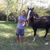 walterchiaravigli - @walterchiaravigli - TikTok