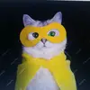 Walter choi - @walterchoi1 - TikTok