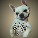 Walter Choice - @walterchoi.ce - Instagram