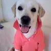 Walter Chong - @2169427329 - TikTok