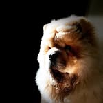 Walter Chow - @walt.erchow - Instagram
