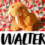 Walter Chowder Bobo - @walter_chowder_bobo - Instagram