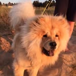 Walter - @walterchow123 - Instagram