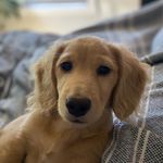 Walter Carl Christensen - @walter_carl_13 - Instagram