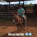 Walter Christensen - @walterchristensen31 - Instagram