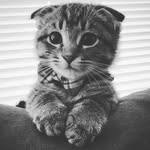 Walter Mamani Chui - @walterchui - Instagram
