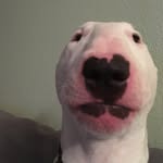 Walter Clements - @walter.clements1 - Instagram