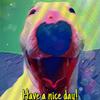 Walter Dog - @walter...clements - TikTok