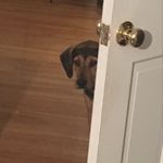 Walter Clemons - @wwalterwclemons - Instagram