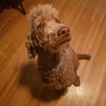Walter Clemons - @walter_the_amazingness - Instagram