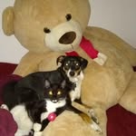 Clyde & Walter - @clyde_and_walter - Instagram