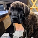 Walter Clyde - @thegreat_walter_clyde - Instagram