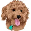 Walter-Clyde - @walter_thegoodestboi - TikTok