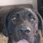 Walter Clyde Curran - @walterclydecurran - Instagram