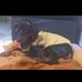 Walter Cohen - Facebook