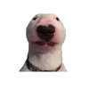 WALTER COMMANDER - @the.walter.commander - TikTok