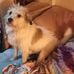 Walter Comstock - Facebook