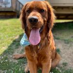 Walter Conn - @walter_c_45 - Instagram