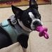 Walter Coon - Facebook