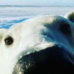 walter corbine - @waltercorbine - Instagram