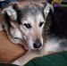 Walter Cormier - Facebook