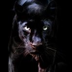 Walter Corradi - Facebook
