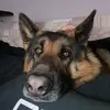 Walter - @walterdalcorso617 - TikTok