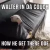 Walter in da couch - @walterinthecouch - TikTok