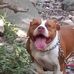 Walter Crocker - Facebook