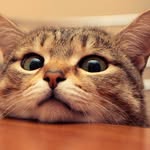 Walter Crooks - @wakeland0514 - Instagram