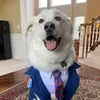 Julie Walter Crowell - @user6309628121238 - TikTok