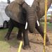 LeWayne Movethatrope Young - Facebook