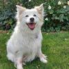 walterrumpler - @walterrumpler - TikTok