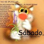 Walter Cuenca - @cuenca_walter - Instagram
