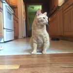 Walter "DUB" Culbertson - @walterculbertson - Instagram