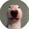 Walter Cult - @waltercult07 - TikTok