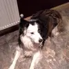 Walter Currie - @walter.currie3 - TikTok