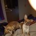 Walter Currie - Facebook