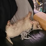 Walter Currie - @walter.currie.702 - Instagram